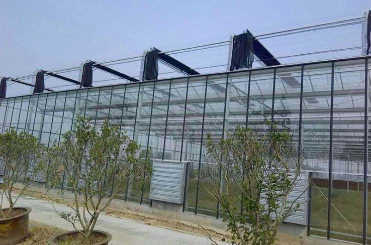 Texture greenhouse