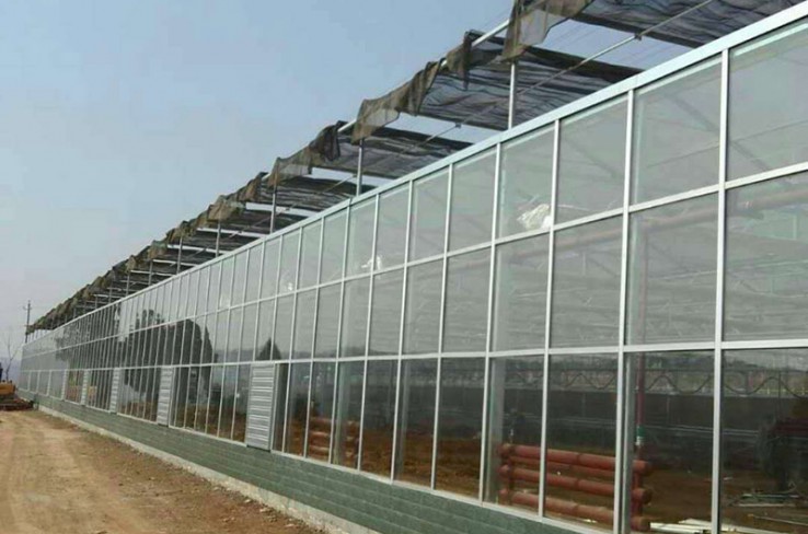 Texture greenhouse